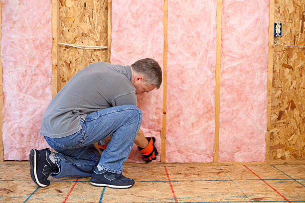 Best Crawl Space Insulation  in Littleton Common, MA